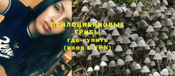 прущие крисы Нязепетровск