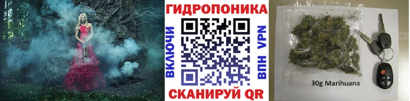 Бошки Шишки THC 21%  продажа наркотиков  Вологда 