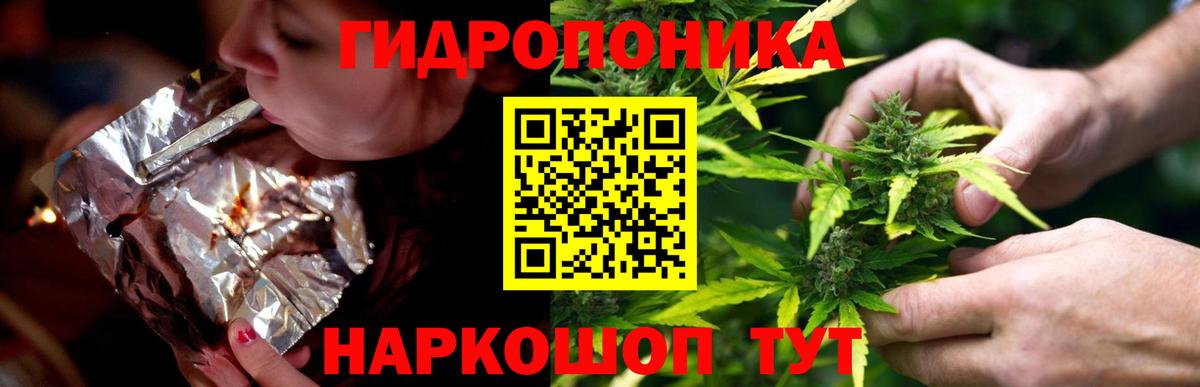 Вологда  Бошки марихуана Bruce Banner  Конопля планчик  МАРИХУАНА AK-47  Бошки марихуана White Widow  Вход с VPN 